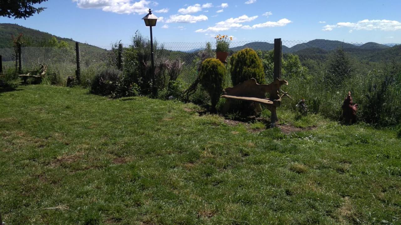 Kwatera prywatna Casa Rous