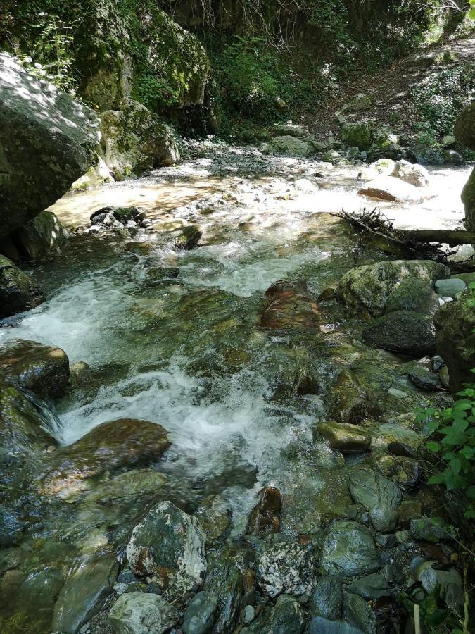 Kwatera prywatna Casa Rous *