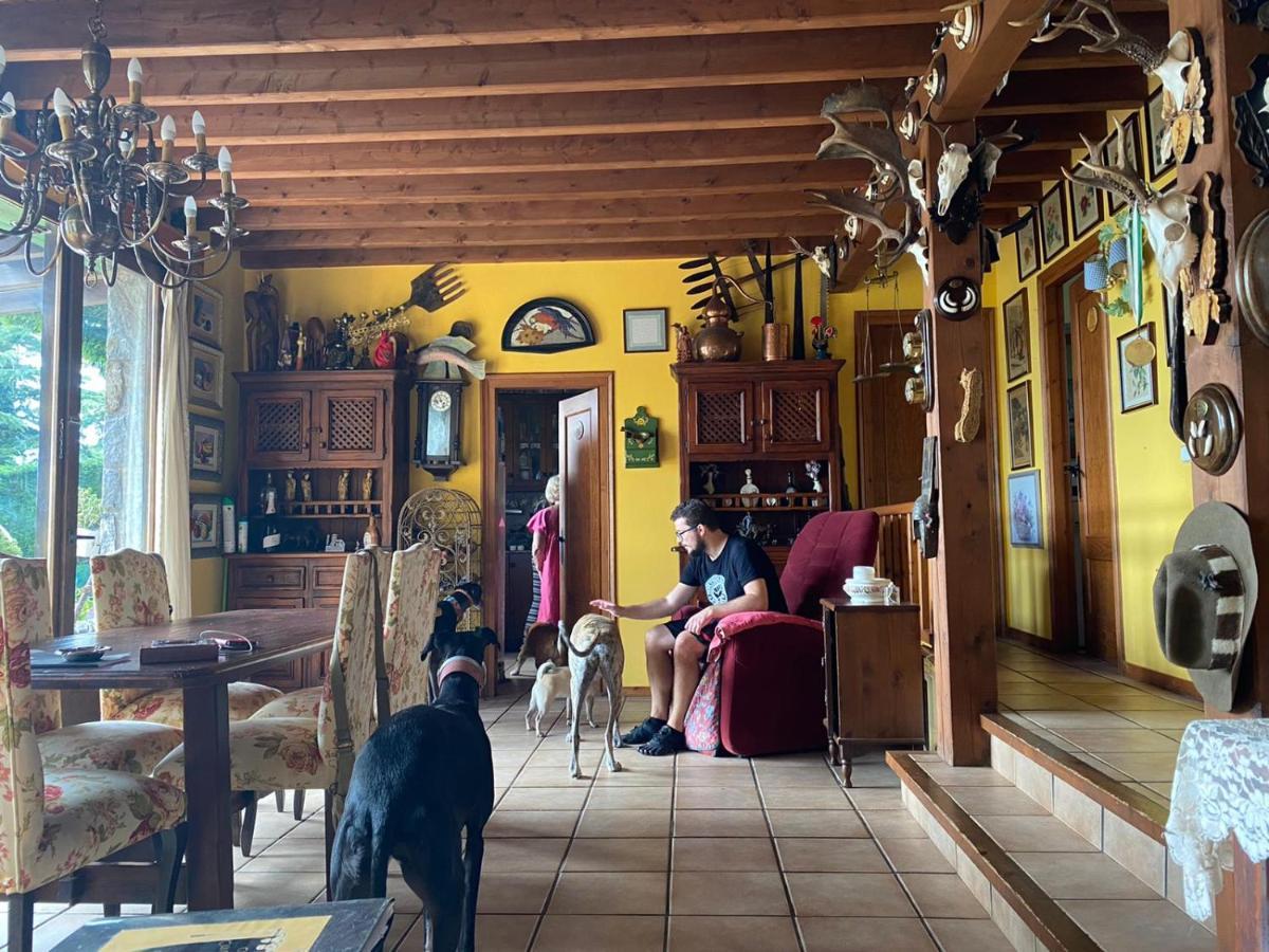 Casa Rous