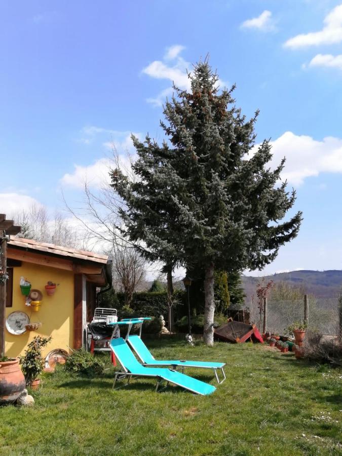 Casa Rous Accommodatie bij particulieren